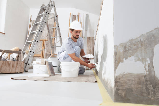Forensic Mold Investigation in Brookhaven, PA