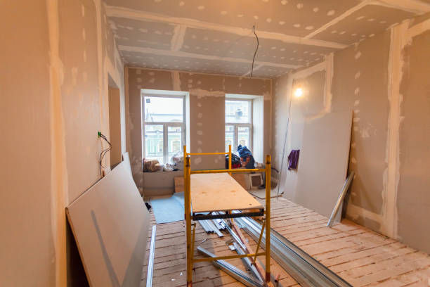 Trusted Brookhaven, PA Mold Removal Experts